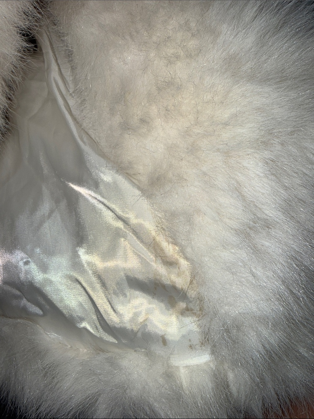 Zara Cream Faux Fur Teddy Jacket - Picture 5 of 5